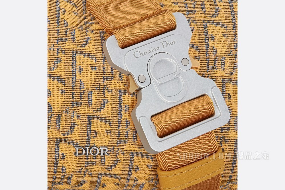 Dior Lingot 22 手袋 金色 Oblique 印花