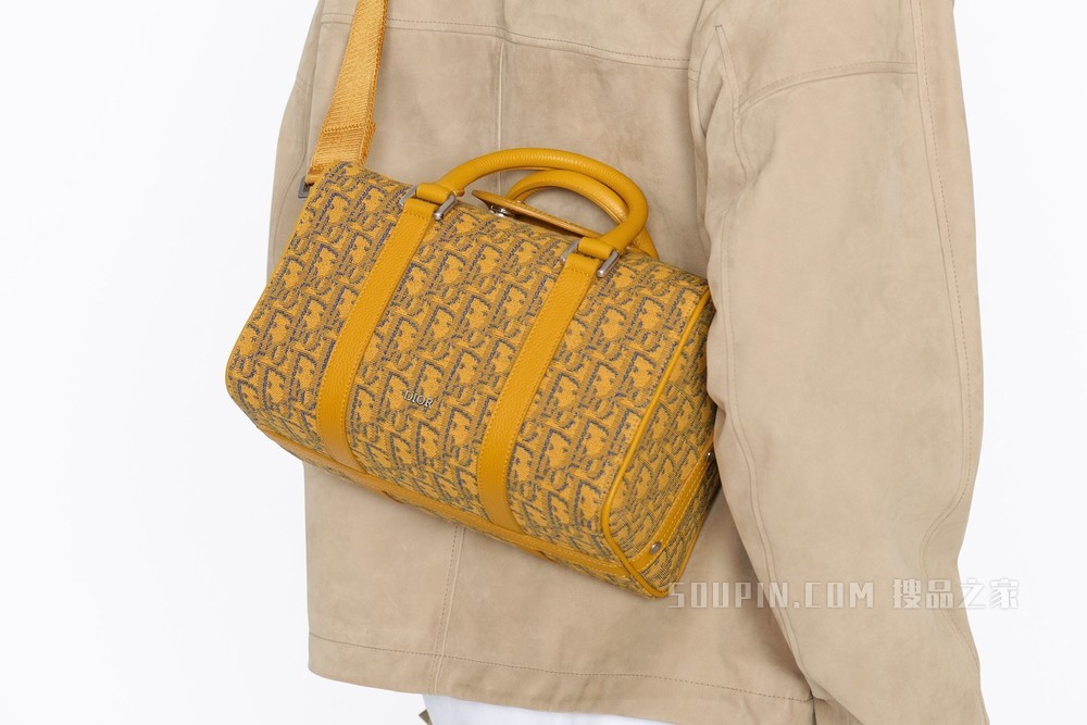 Dior Lingot 26 手袋 金色 Oblique 印花