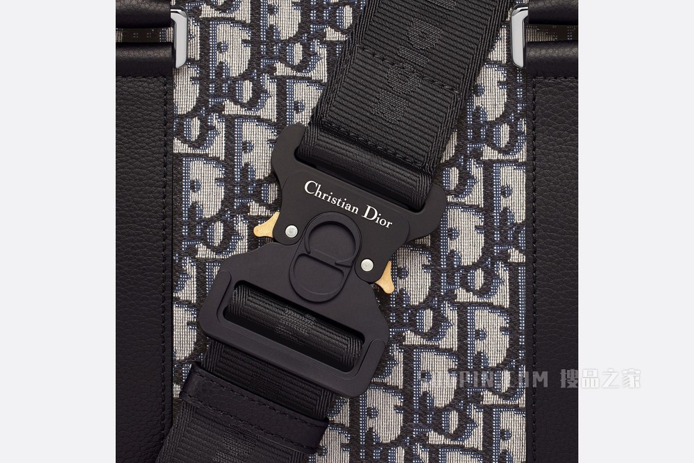 Dior Lingot 50 手袋 米色和黑色 Oblique 印花