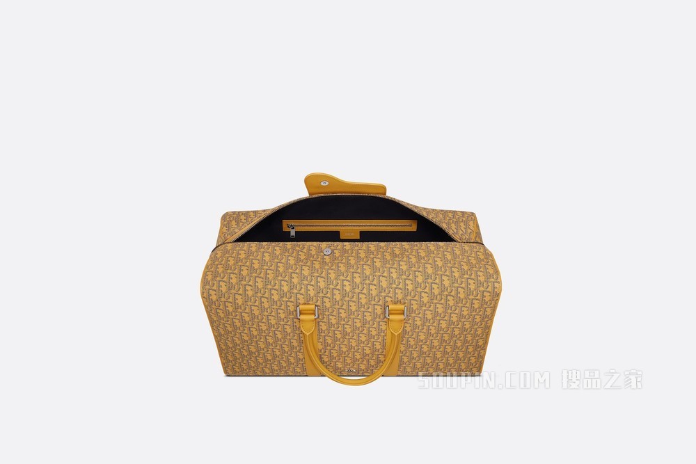 Dior Lingot 50 手袋 金色 Oblique 印花