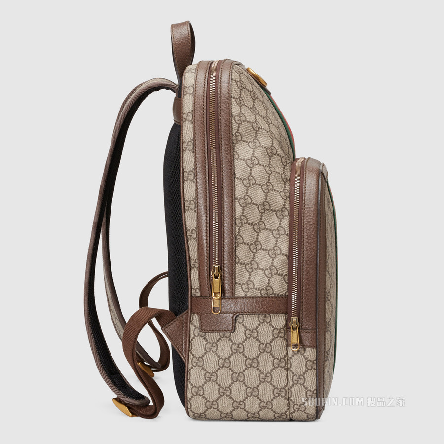 Ophidia系列中号GG背包 GG Supreme帆布
