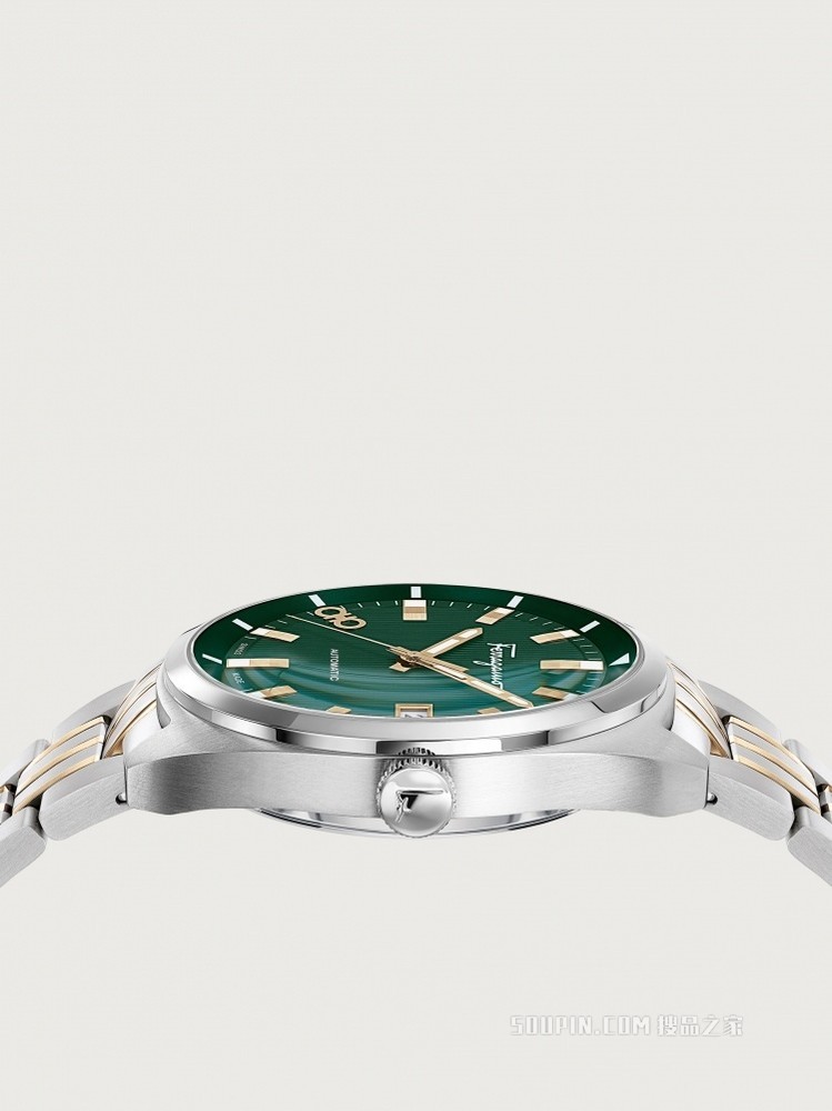 EVOLUTION AUTOMATIC 手表