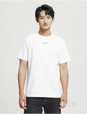 Calvin Klein 男士圆领纯棉简约胶质LOGO短袖T恤J320949