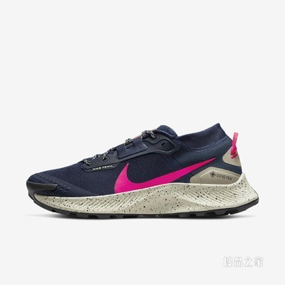 Nike Pegasus Trail 3 GTX 男子跑步鞋