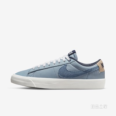 Nike Zoom Blazer Low Pro GT PRM 男/女滑板鞋
