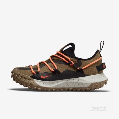 Nike ACG Mountain Fly Low GTX SE 男子运动鞋