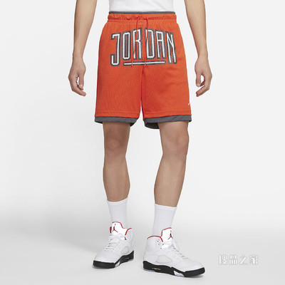 Jordan Sport DNA 男子短裤