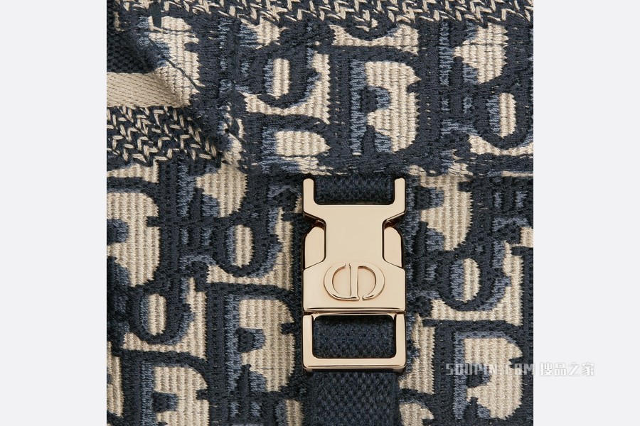 小号 Diorcamp 手袋 蓝色刺绣 Oblique 印花