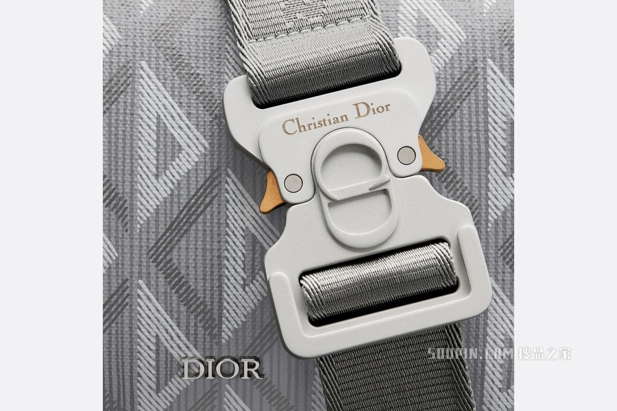 Dior Lingot 22 手袋 迪奥灰帆布 CD Diamond 图案