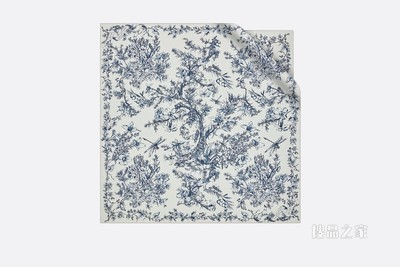 Dior 印花方巾 象牙色和蓝色桑蚕丝斜纹面料花朵茹伊印花