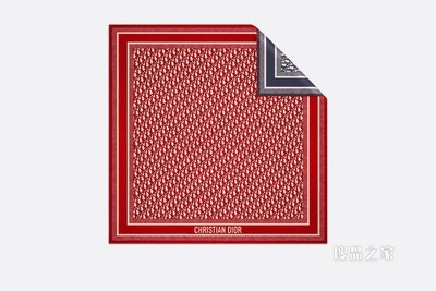 Diortwin 方巾 红色和海军蓝色桑蚕丝斜纹面料 Oblique 印花