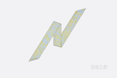 Mitzah 丝巾 蓝色和绿色桑蚕丝斜纹面料 Dior Croco 印花