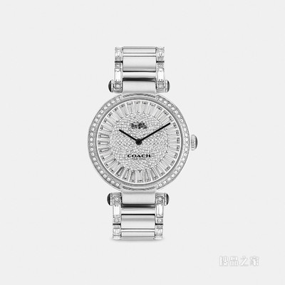 CARY 腕表，34MM 银色
