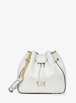 Phoebe 中号皮质水桶包