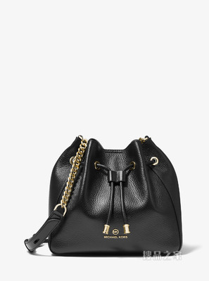 Phoebe 中号皮质水桶包