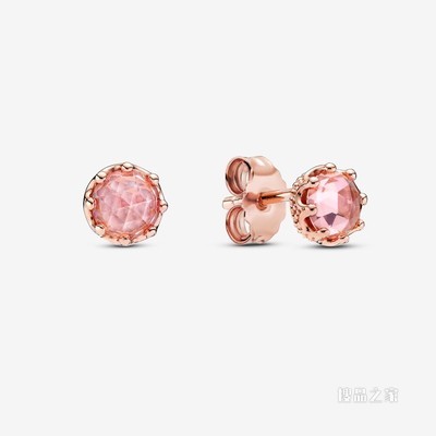 粉色宝石闪耀王冠耳钉