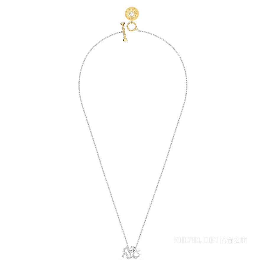 Zodiac II 链坠, 水瓶座, 白色, 混合金属润饰