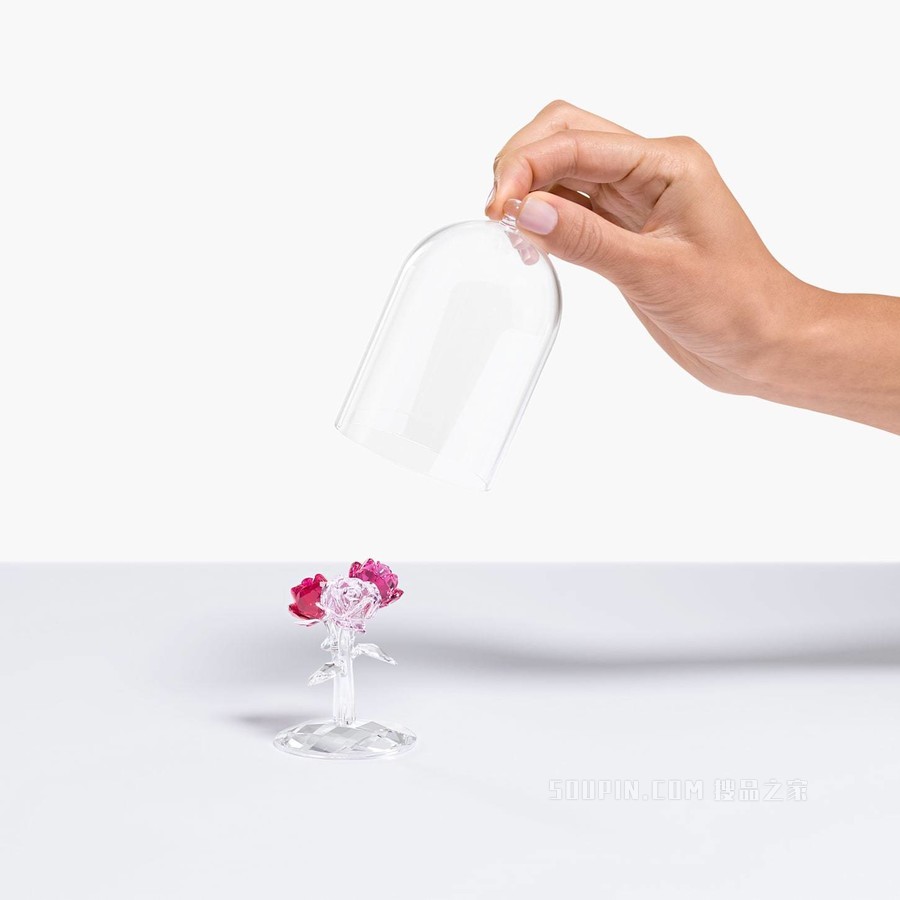 仿水晶钟罩下的玫瑰花束