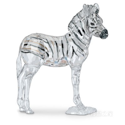 Elegance of Africa SCS Zebra Baby Zuri