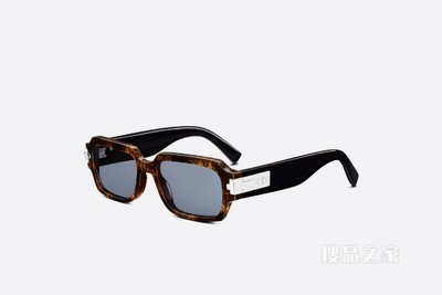 DiorBlackSuit XL S1I 太阳眼镜 棕色玳瑁效果方形镜框 Dior Oblique 图案