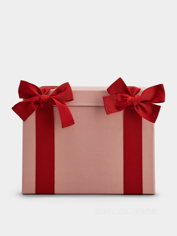 Roger Vivier首饰盒 粉色