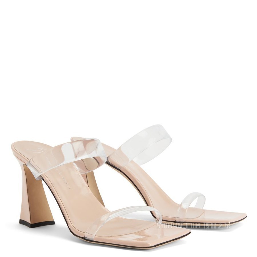 Flaminia Plexi