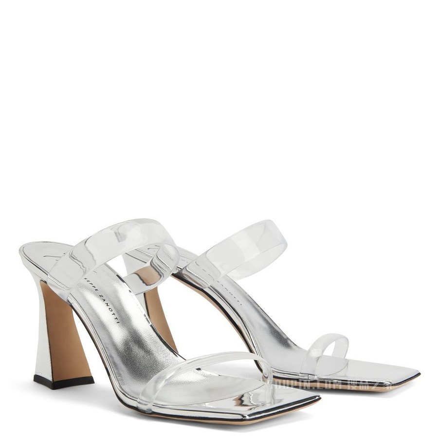 Flaminia Plexi