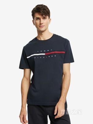Tommy 男装经典百搭纯棉刺绣LOGO圆领短袖T恤C817849807