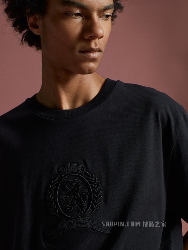 Tommy 22新款春夏男装潮流休闲纯棉刺绣徽章短袖T恤MW0MW22207
