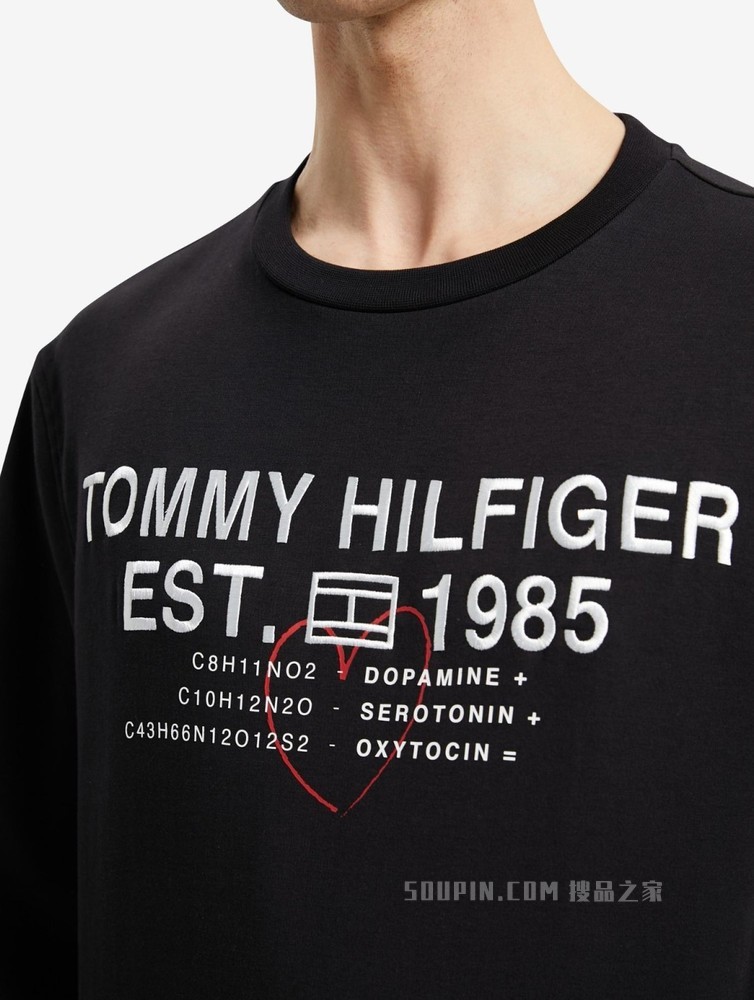 Tommy【特殊系列】22新款春季男女同款刺绣印花宽松卫衣25997