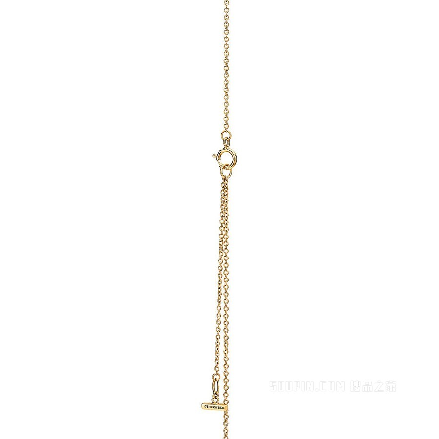 Tiffany T 系列 18K 黄金镶嵌钻石和珍珠母贝圈形项链，小号。