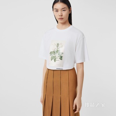 植物素描印花棉质宽松 T 恤衫 (白色) - 女士