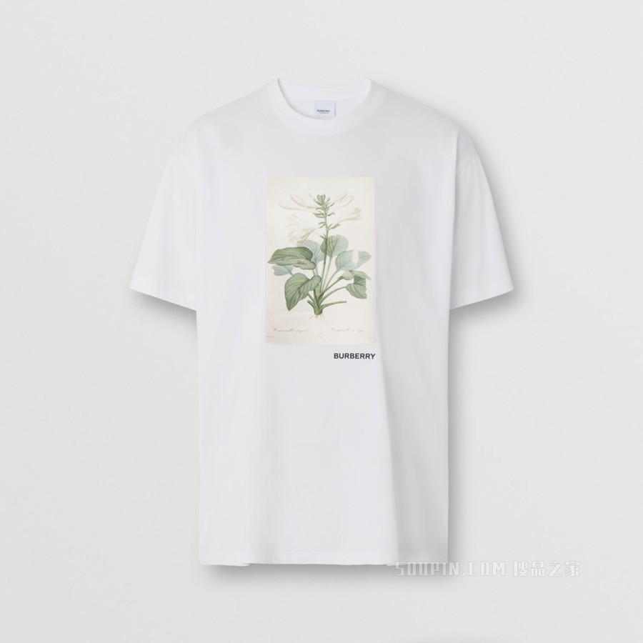植物素描印花棉质宽松 T 恤衫 (白色) - 女士