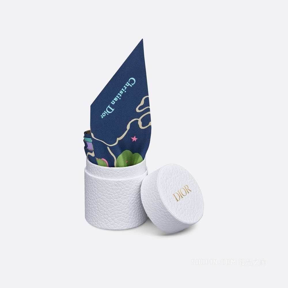 Mitzah 丝巾 多色桑蚕丝斜纹面料 Dior Ciel de Rêve 印花