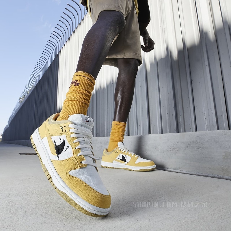 Nike Dunk Low Retro SE NN 男子运动鞋