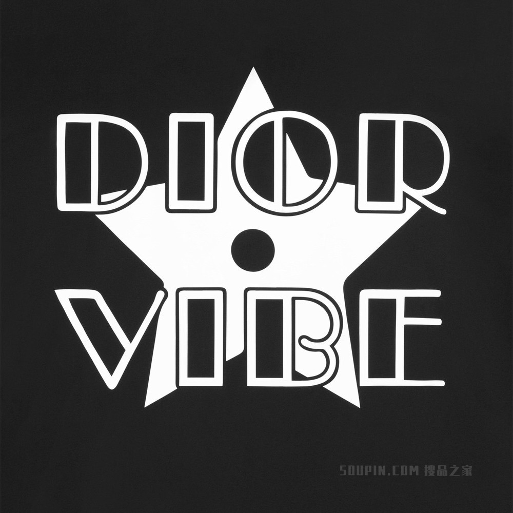 Dior Vibe 连帽拉链背心 黑色科技面料
