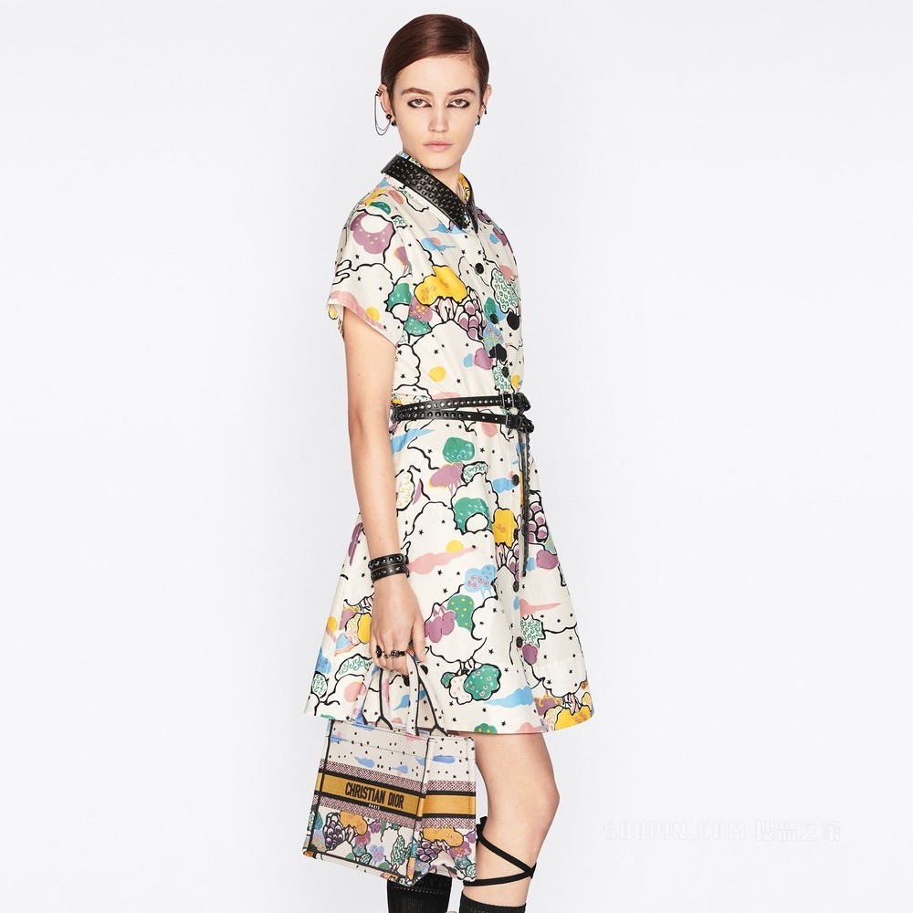 小号 Book Tote 手袋 多色 Dior Ciel de Rêve 图案刺绣 (26.5 x 21 x 14 cm)