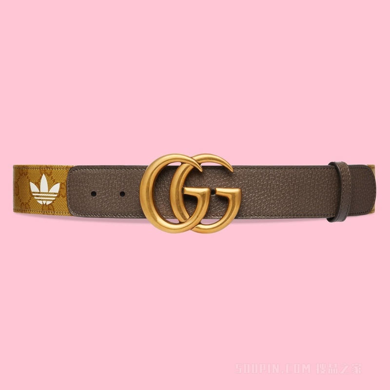 adidas x Gucci GG Marmont系列腰带 米色和棕色