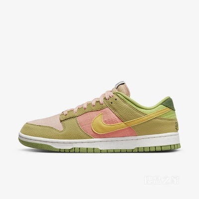 Nike Dunk Low Retro SE NN 男子运动鞋