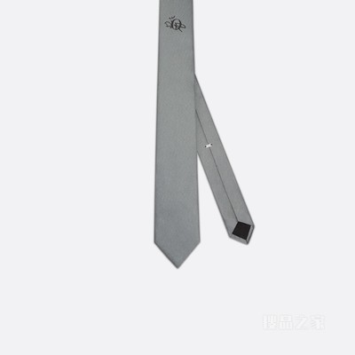 CACTUS JACK DIOR 领带 浅灰色桑蚕丝