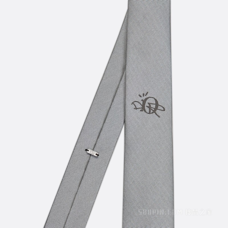 CACTUS JACK DIOR 领带 浅灰色桑蚕丝