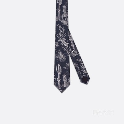 CACTUS JACK DIOR 领带 海军蓝色和白色桑蚕丝