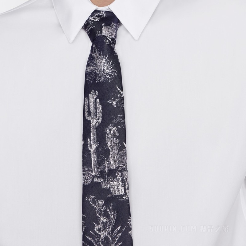 CACTUS JACK DIOR 领带 海军蓝色和白色桑蚕丝