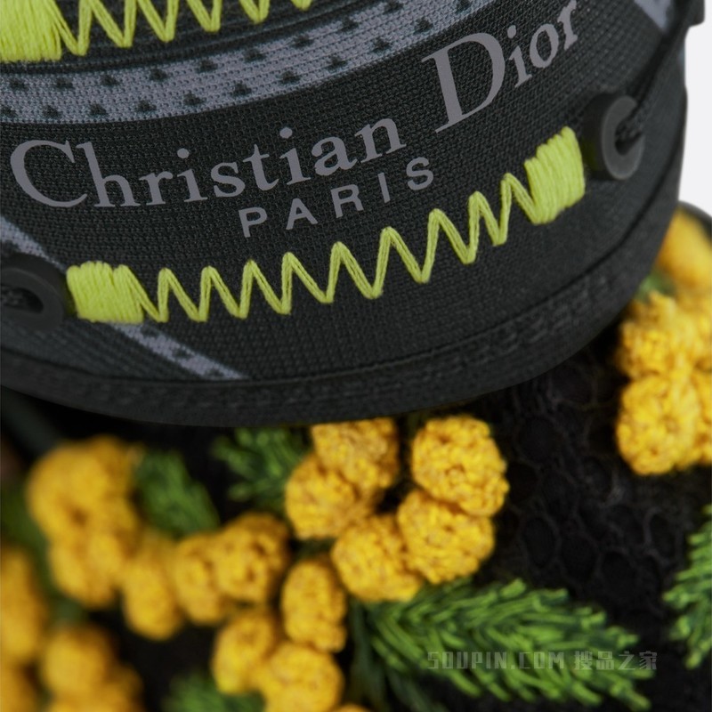 Dior 62-22 高跟鞋 黑色透明网面和科技面料黄色和绿色含羞草图案刺绣