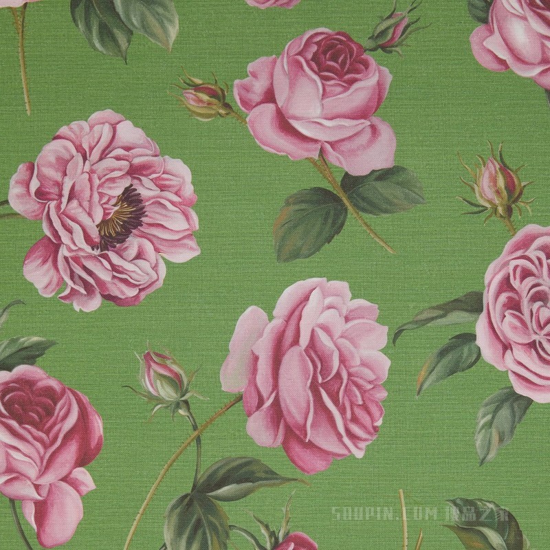 英伦玫瑰印花壁纸 绿色和粉色