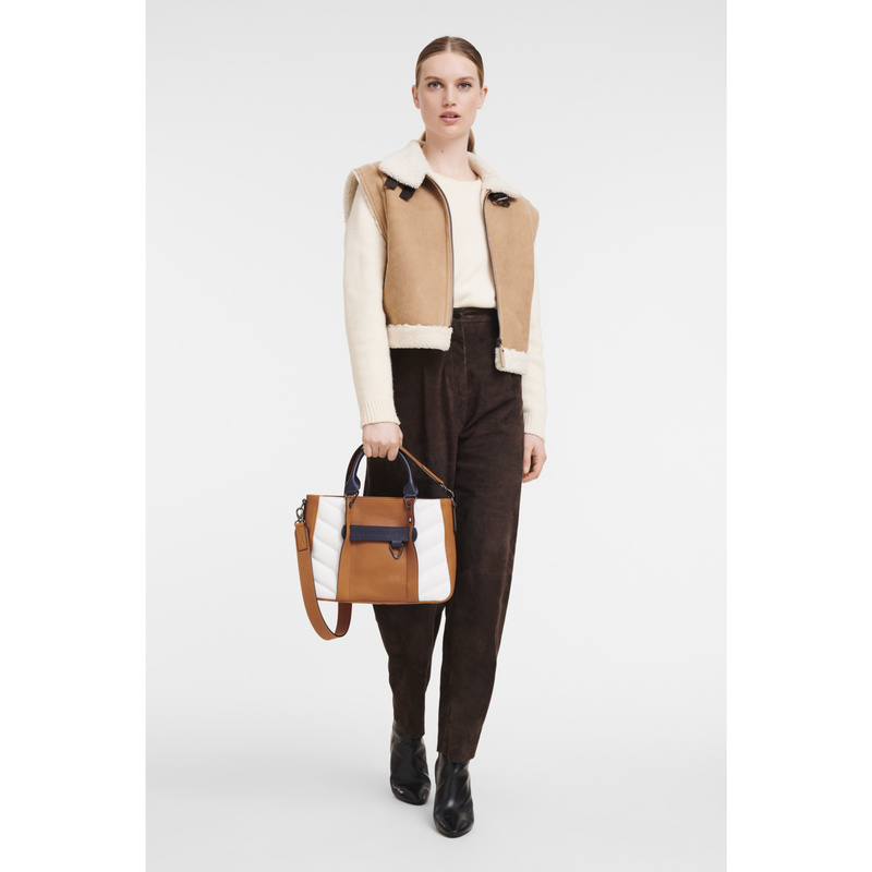 Longchamp 3D 手提包小号 - 彩色