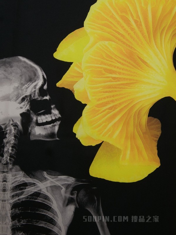 Mushroom Skeleton丝巾
