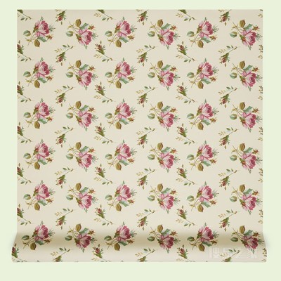 超大号玫瑰印花壁纸 象牙白