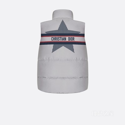 DiorAlps 无袖夹克 银色调反光塔夫绸科技面料 Dior Star 图案