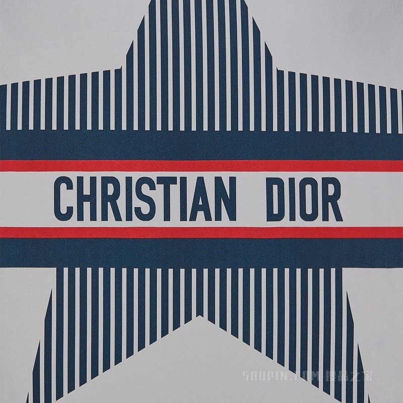 DiorAlps 连帽夹克 银色调反光绗缝科技面料 Dior Star 图案
